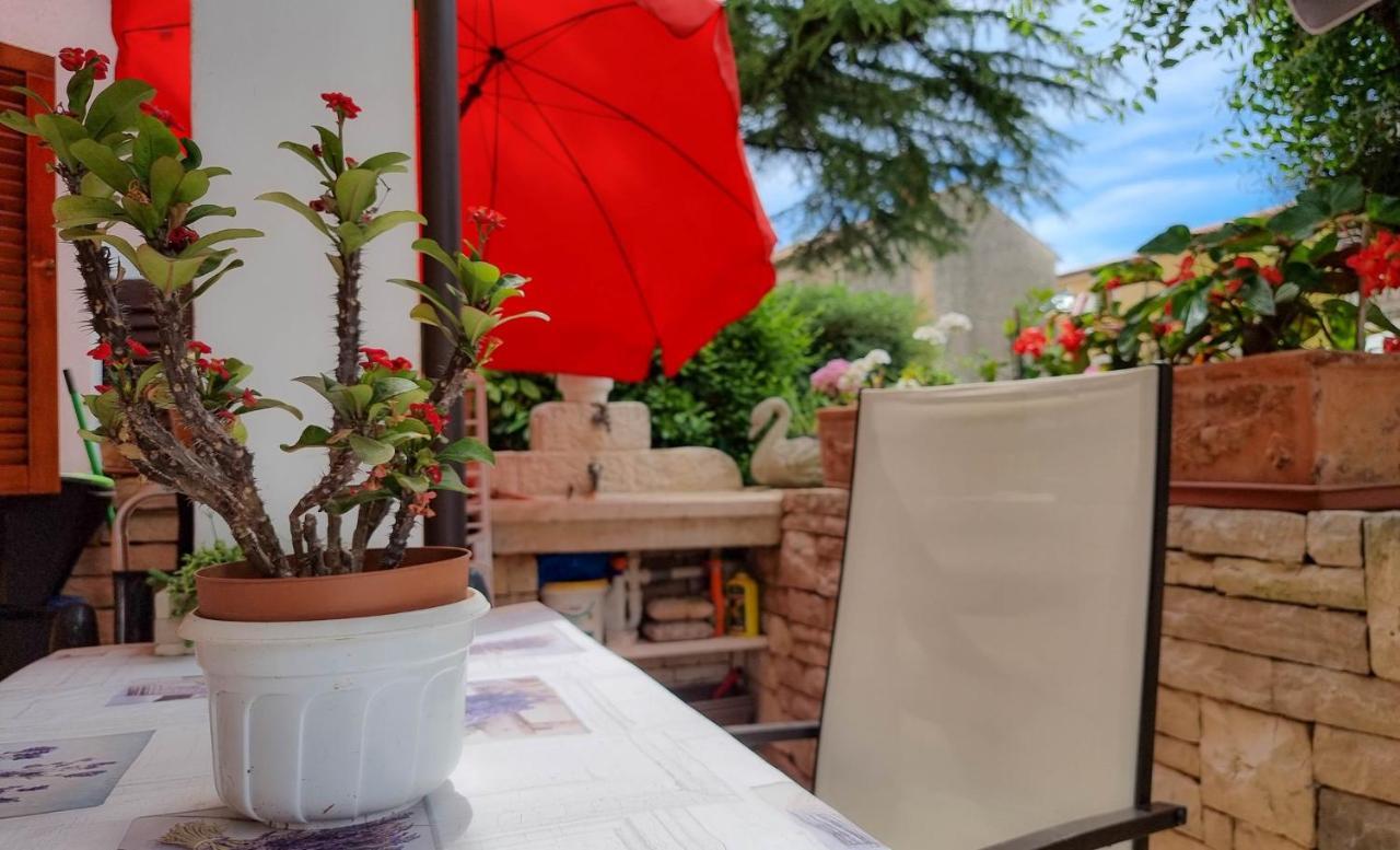 Apartmán Valentino Novigrad Istria Exteriér fotografie