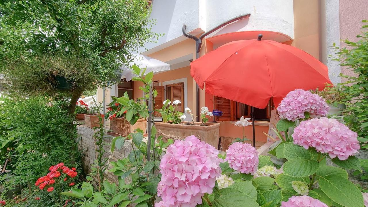 Apartmán Valentino Novigrad Istria Exteriér fotografie